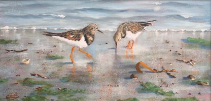 TURNSTONES