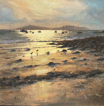Porthmellon Light